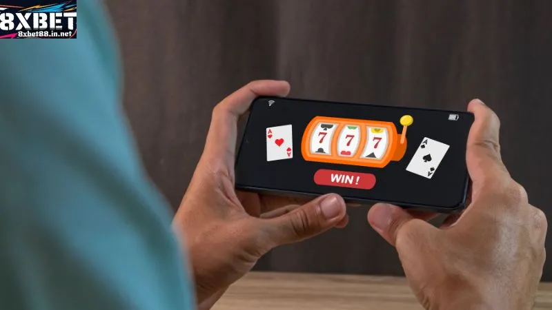 ly do ban nen tai sao chon 8xbet ly do ban nen tai sao chon 8xbet
